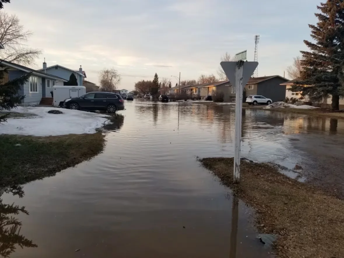 colleen-silverthorn-1/Aberdeen, Sask. flooding/Lisa Grilz via CBC