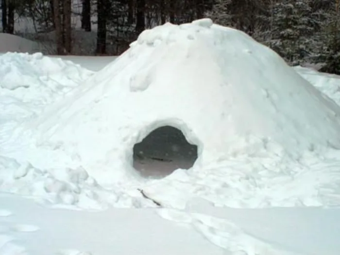 Les vrais trucs pour survivre en forêt l'hiver, les voici 