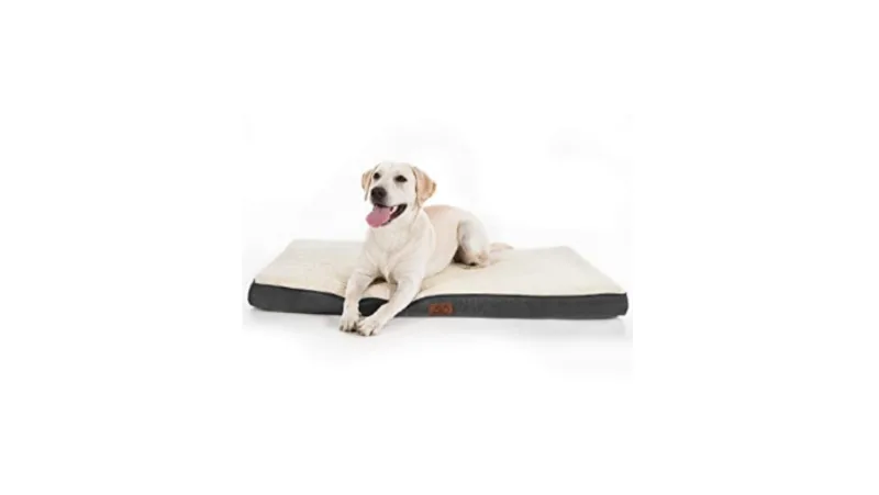 Amazon, dog bed, CANVA, fall pet products