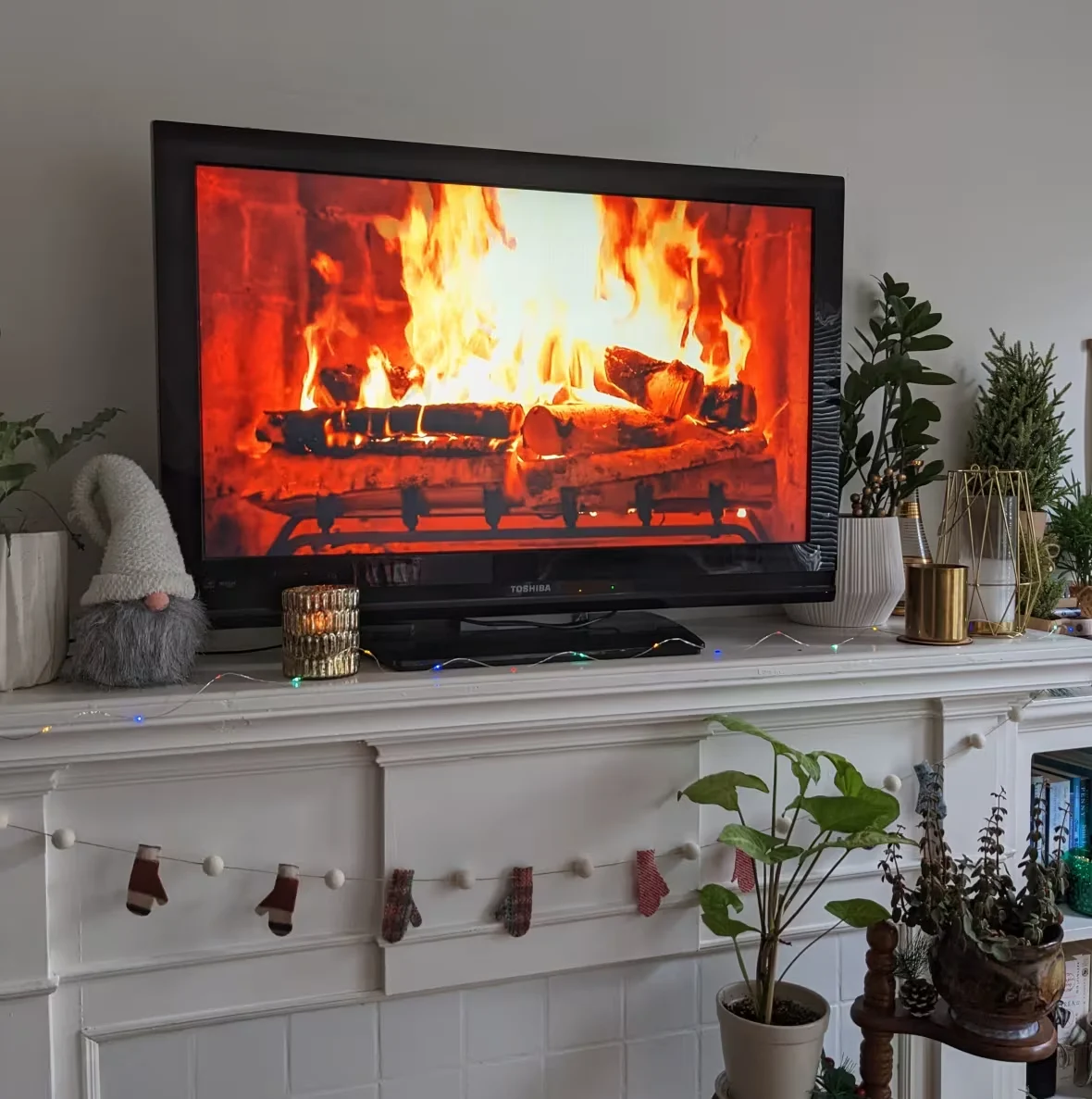 fireplace-for-your-home/Courtney Dickson/CBC