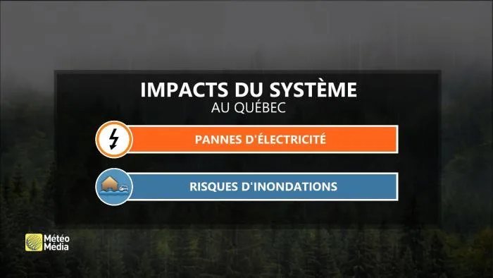 IMPACTS SYSTÈME