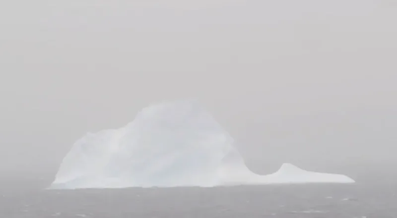 Le premier iceberg du printemps