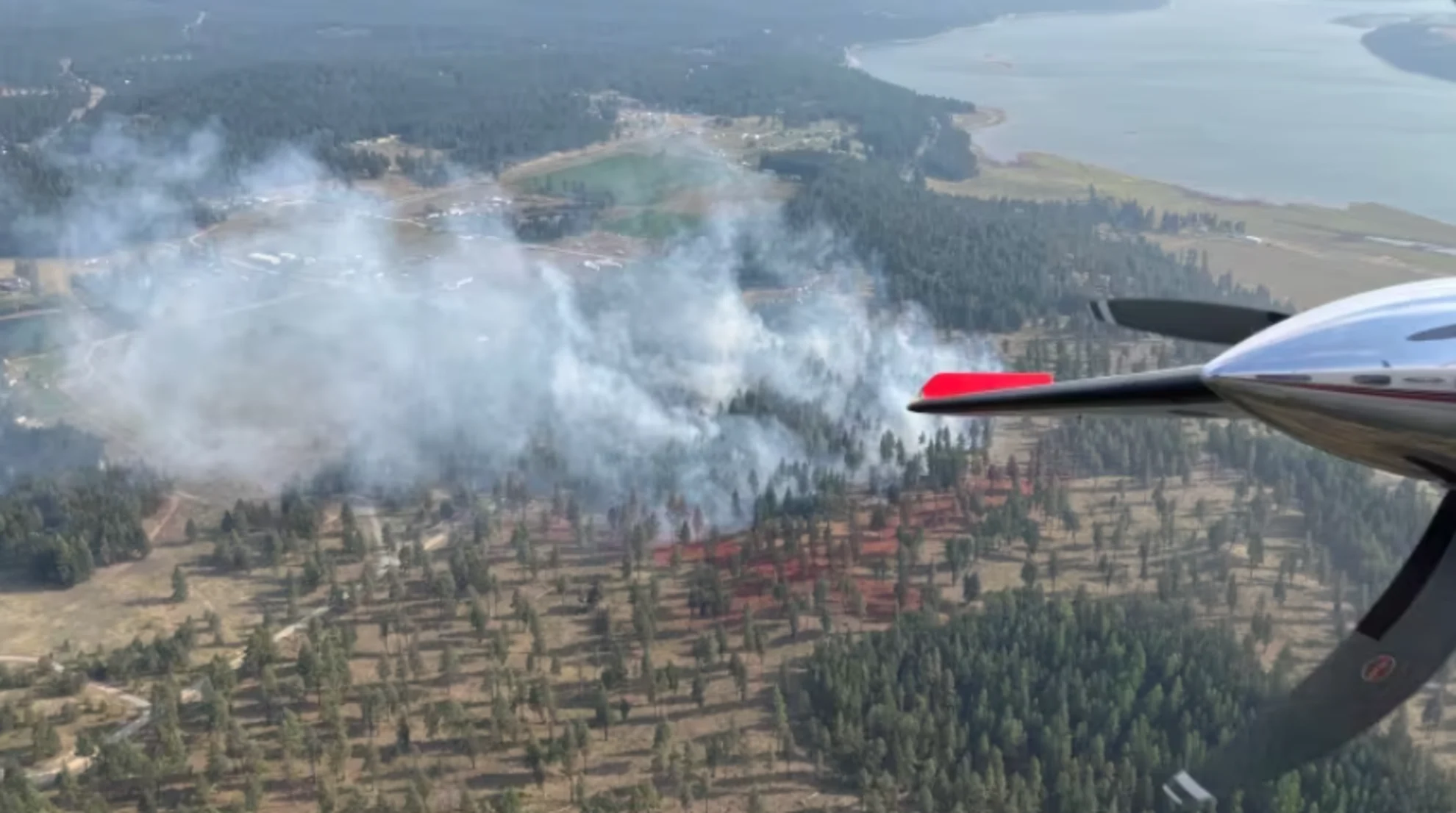 Evacuation orders, alert issued due to wildfire in southeast B.C.