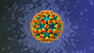 A jump in stomach bugs occurs during the colder months. Here's why