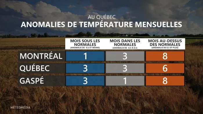 BILAN5