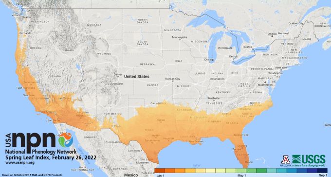 (USANPN/USGS) Spring Leaf Index February 26, 2022
