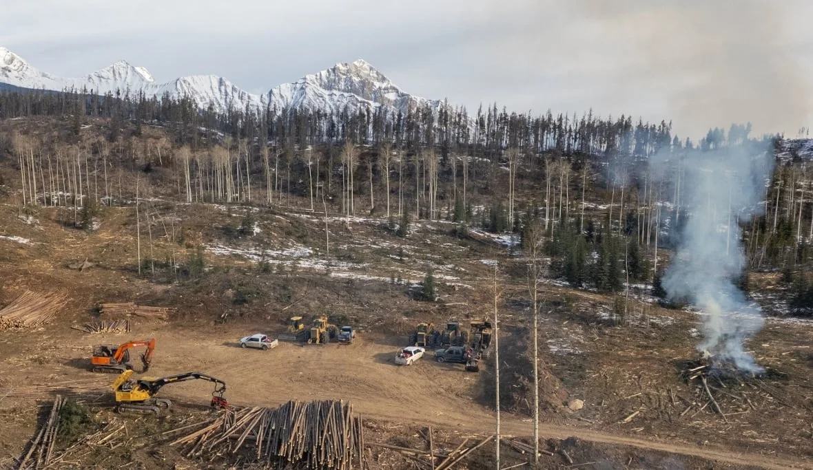 CBC wildfire-risk-reduction