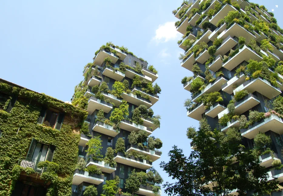 unsplash green buildings