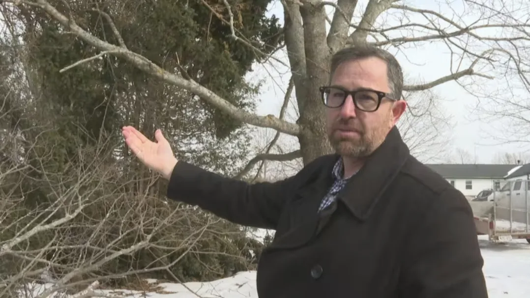 CBC: Mike Montigny from the forests, fish and wildlife division of the Department of Environment says this kind of debris could be a fire hazard given the right conditions. (Sheehan Desjardins/CBC)