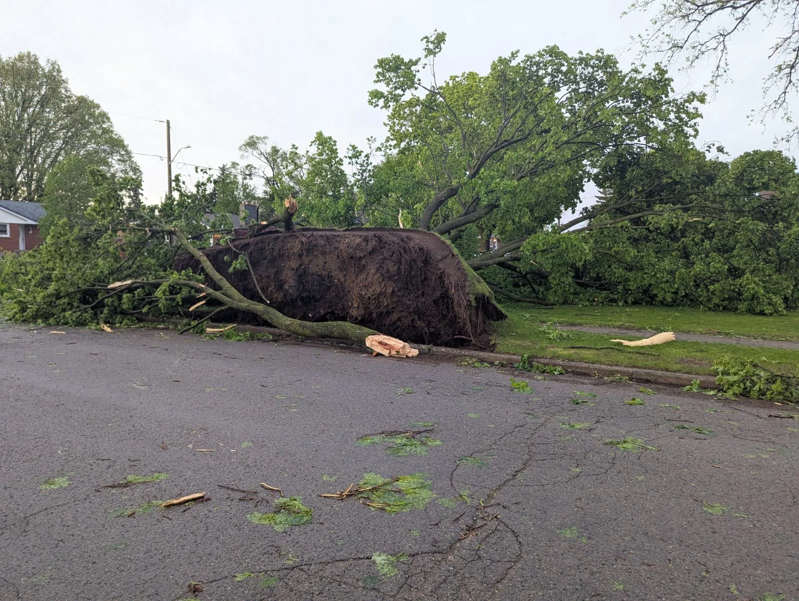 London, Ontario storm damage May 19/Paul Campbell/TWN