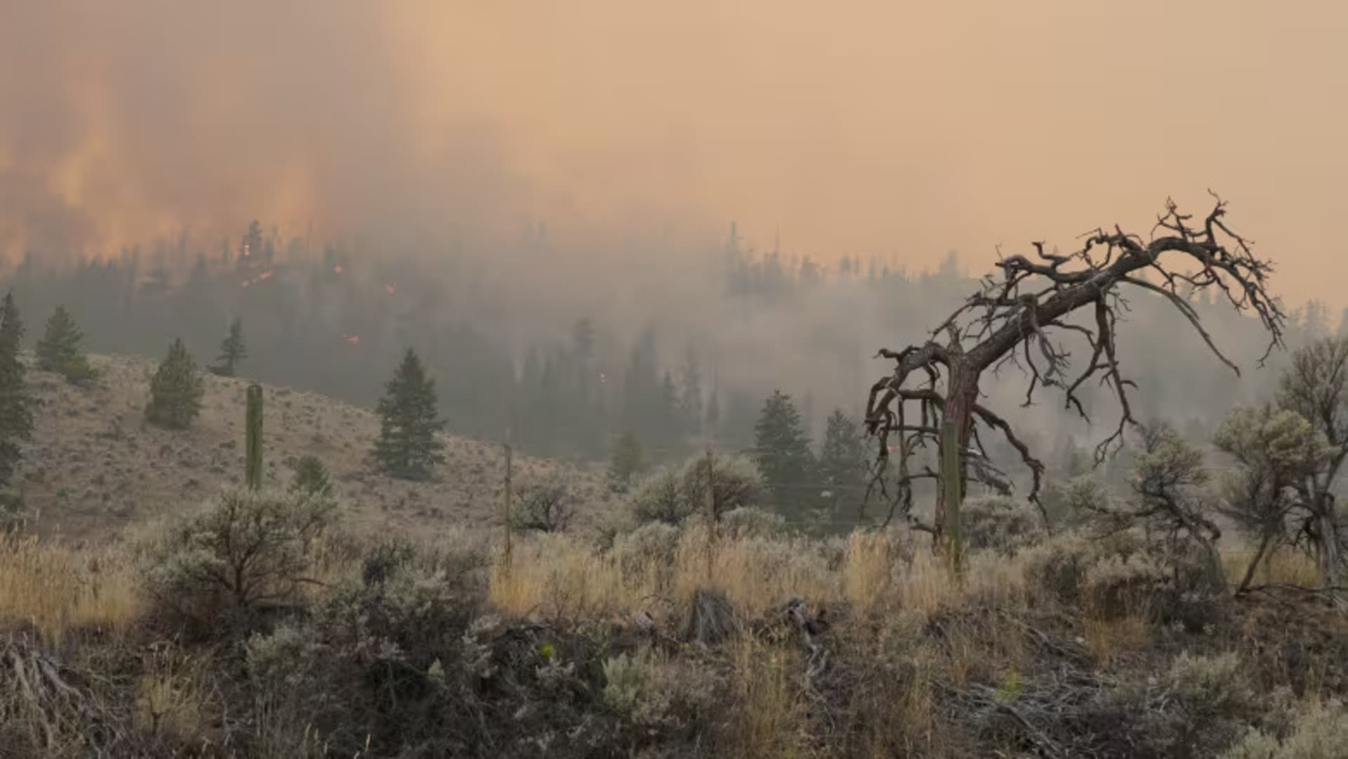 Thousands remain on evacuation alert in B.C. due to wildfires - The ...