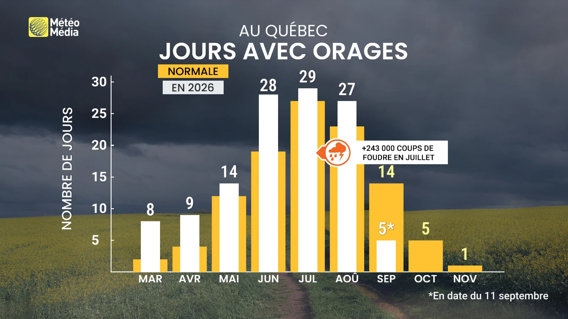 Feux de forêt au Québec : les chiffres ne sont pas ceux que vous pensez