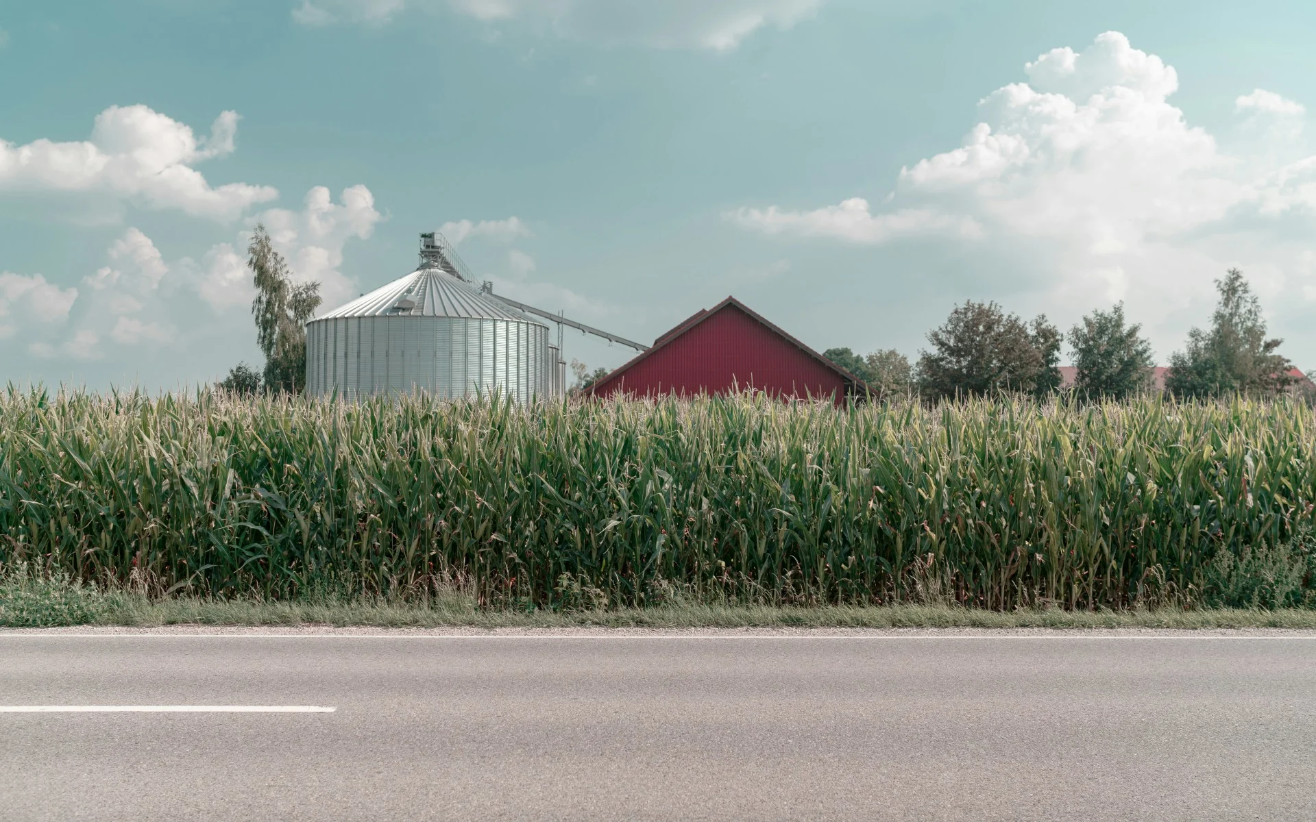 Tired of humidity? Blame corn sweat for the muggy air