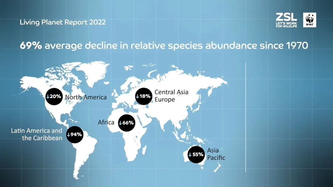 This map produced by the Zoological Society of London shows the average declines in monitored wildlife populations across the globe over a 48-year period, starting in 1970. (Zoological Society of London)