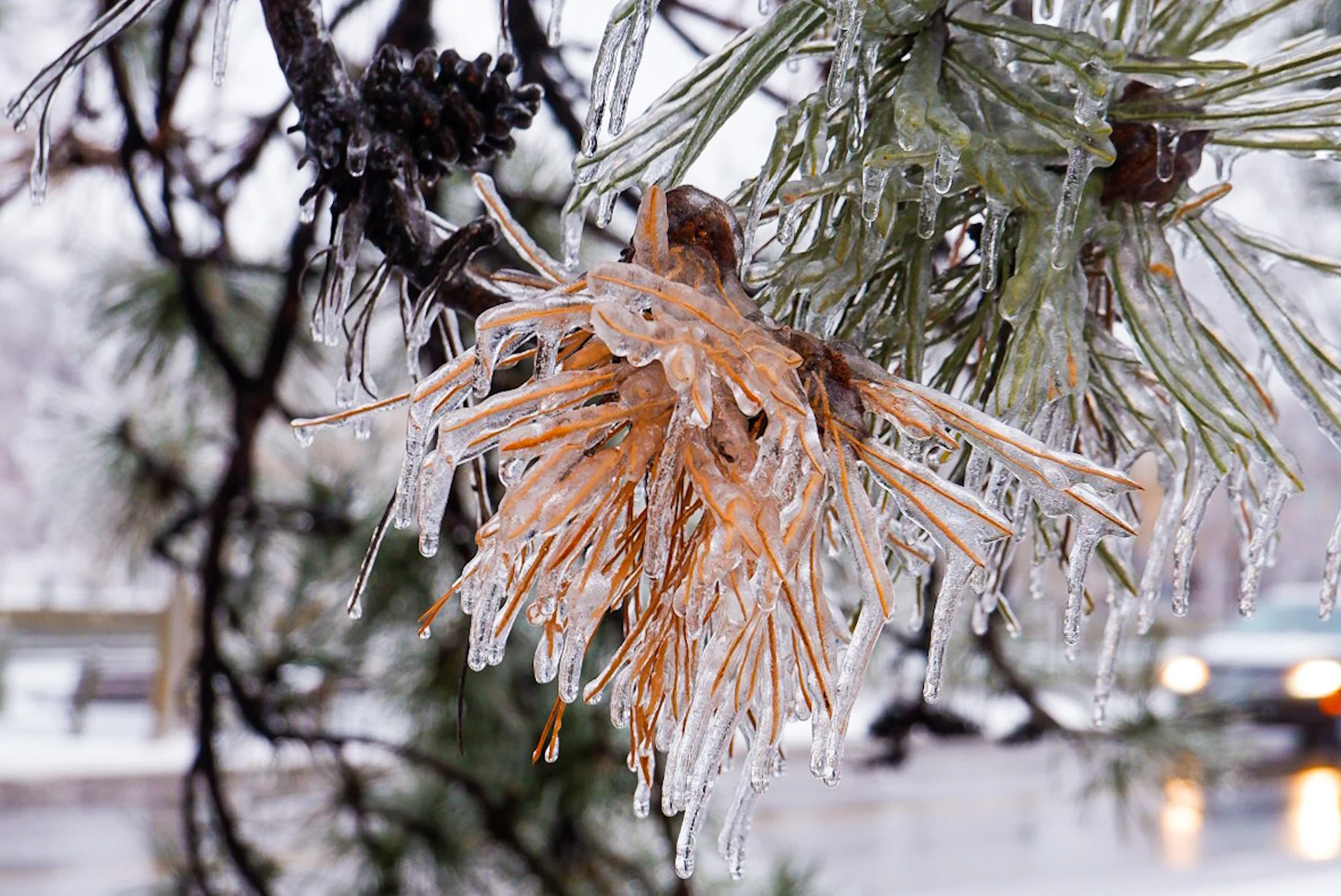 Expect travel issues Monday as ice threatens northern Ontario