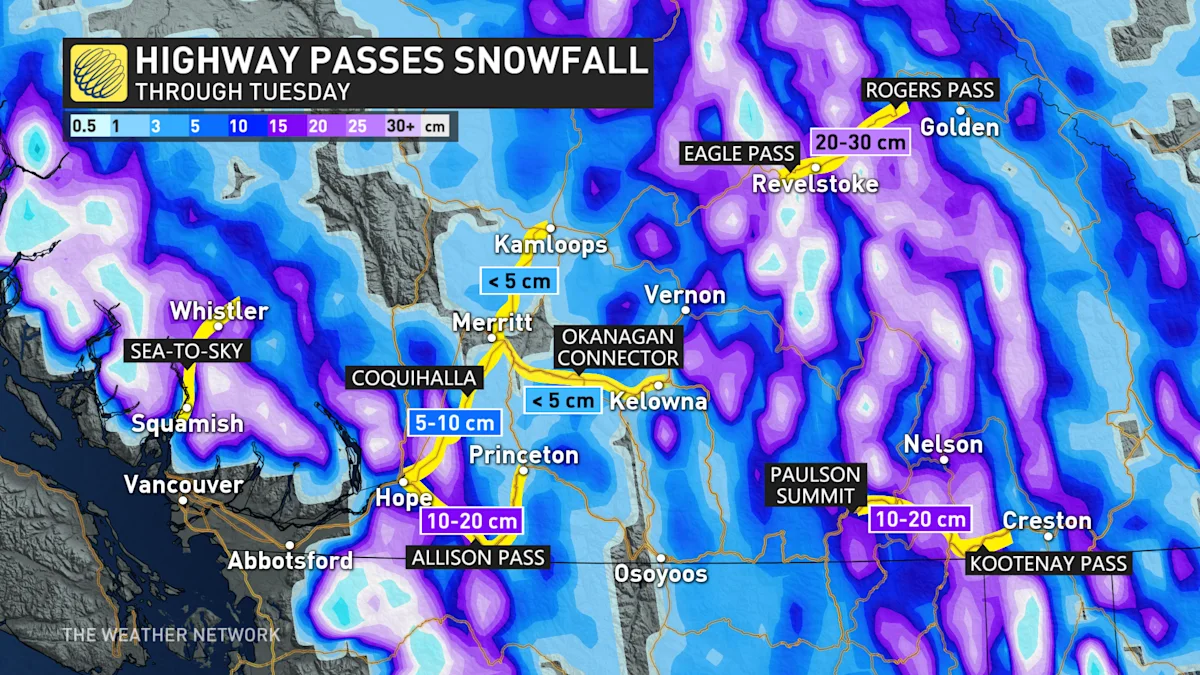 More than 100K customers in the dark in B.C. as wild winds knock out ...