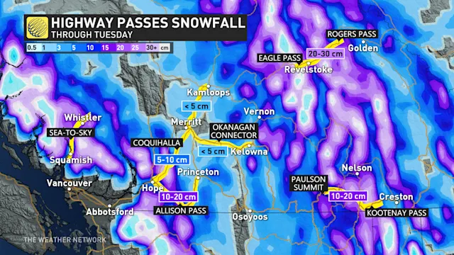 More than 100K customers in the dark in B.C. as wild winds knock out ...