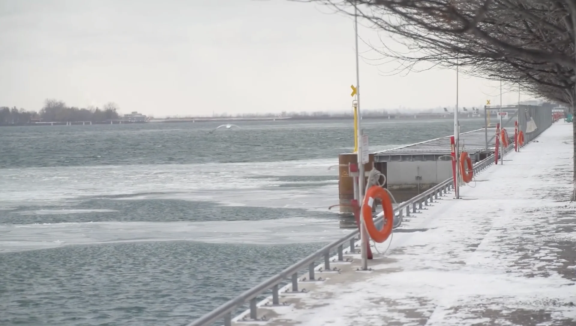 TWN/David Hodge: Toronto Harbourfront cold winter day. Jan. 20, 2025. Lake Ontario.