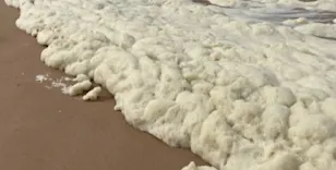 ‘Bacterial smoothie’ of sea foam causes dozens to fall ill. What was in it?