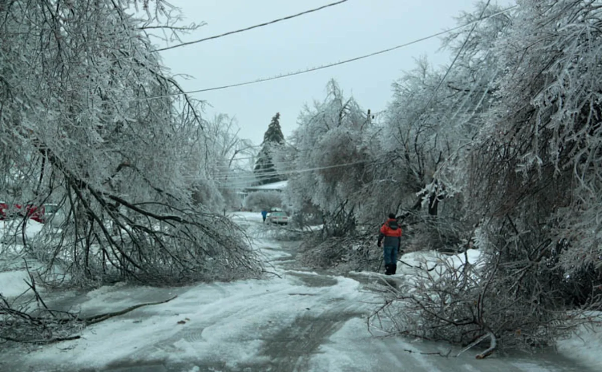 The ice storm of 2013 was a nightmare before, during & after Christmas ...