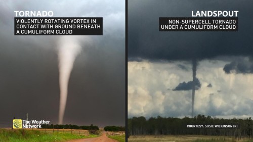 Tornado versus landspout