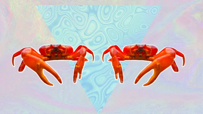 Millions of red crabs dot Christmas Island shoreline