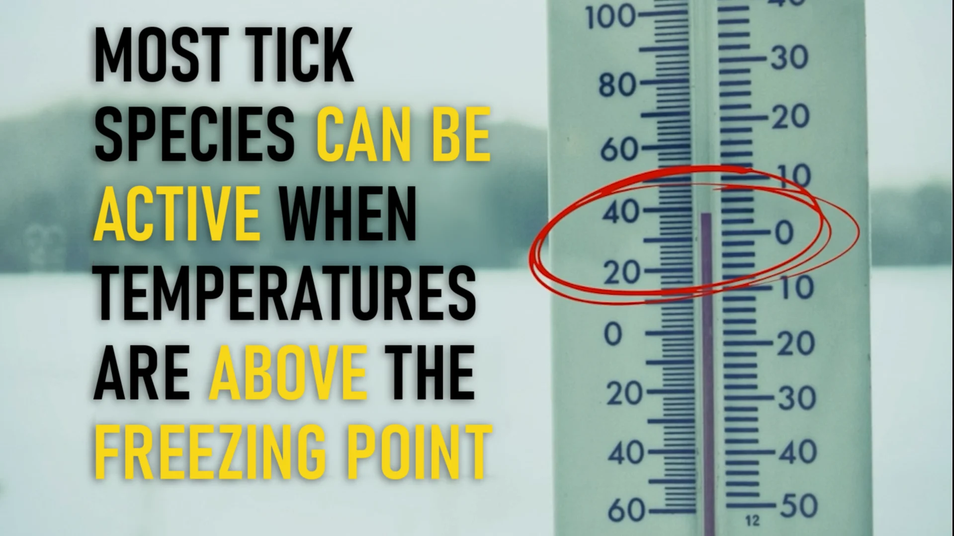 Tick Freeze