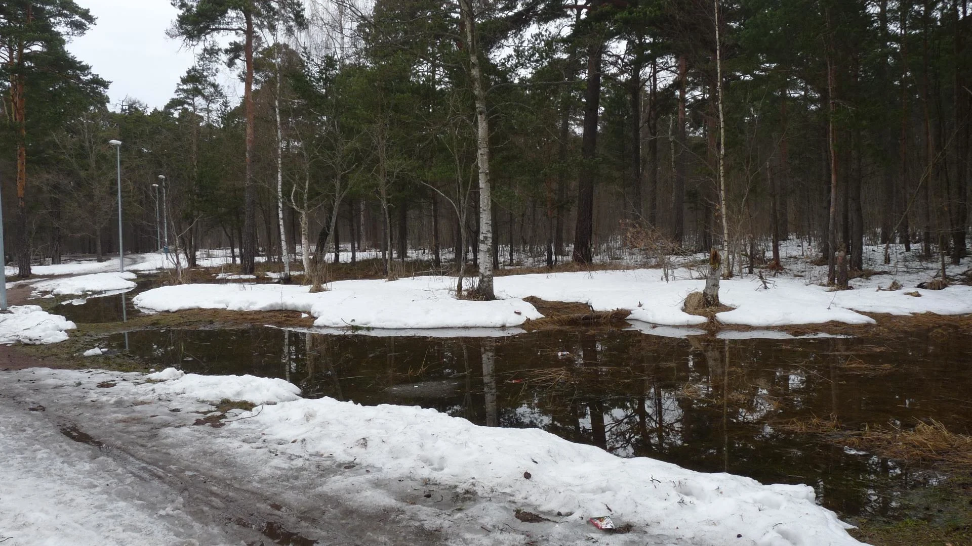 Les premiers 10° vont changer le paysage au Québec