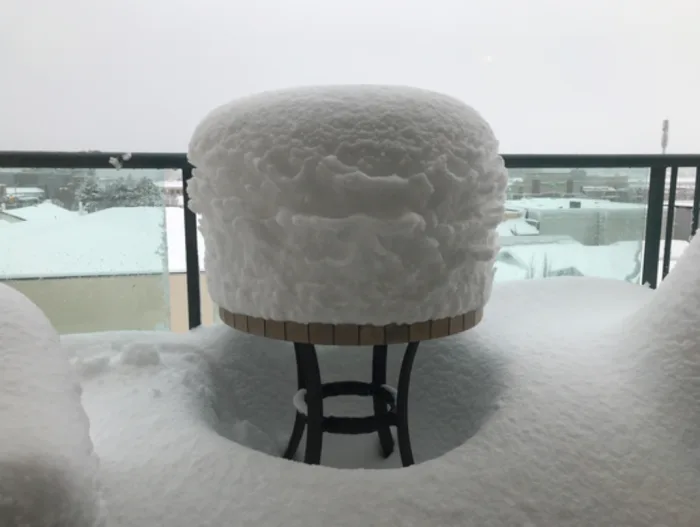 Qui sont les rois de la neige ? Réponse ici. 