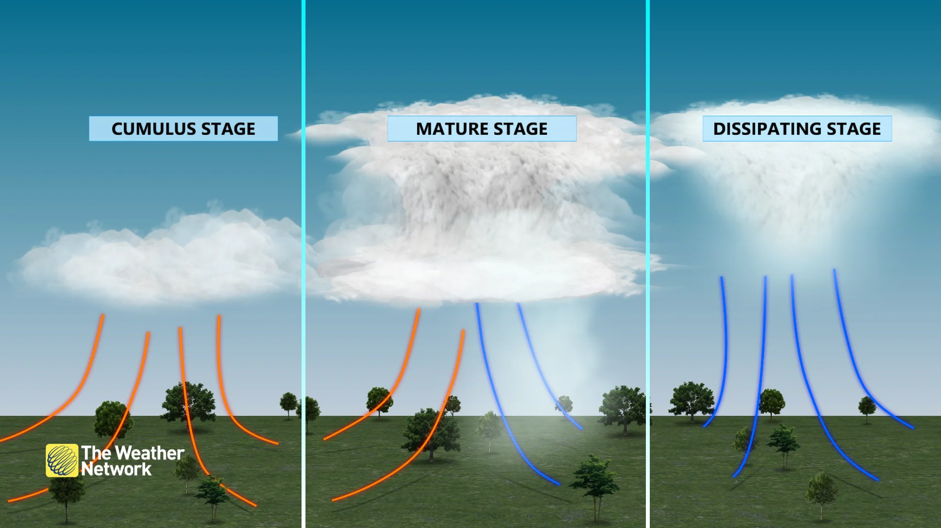 Stages of a Thunderstorm Diagram Explainer