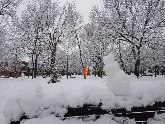 Un des hivers les plus doux jamais vus au Québec