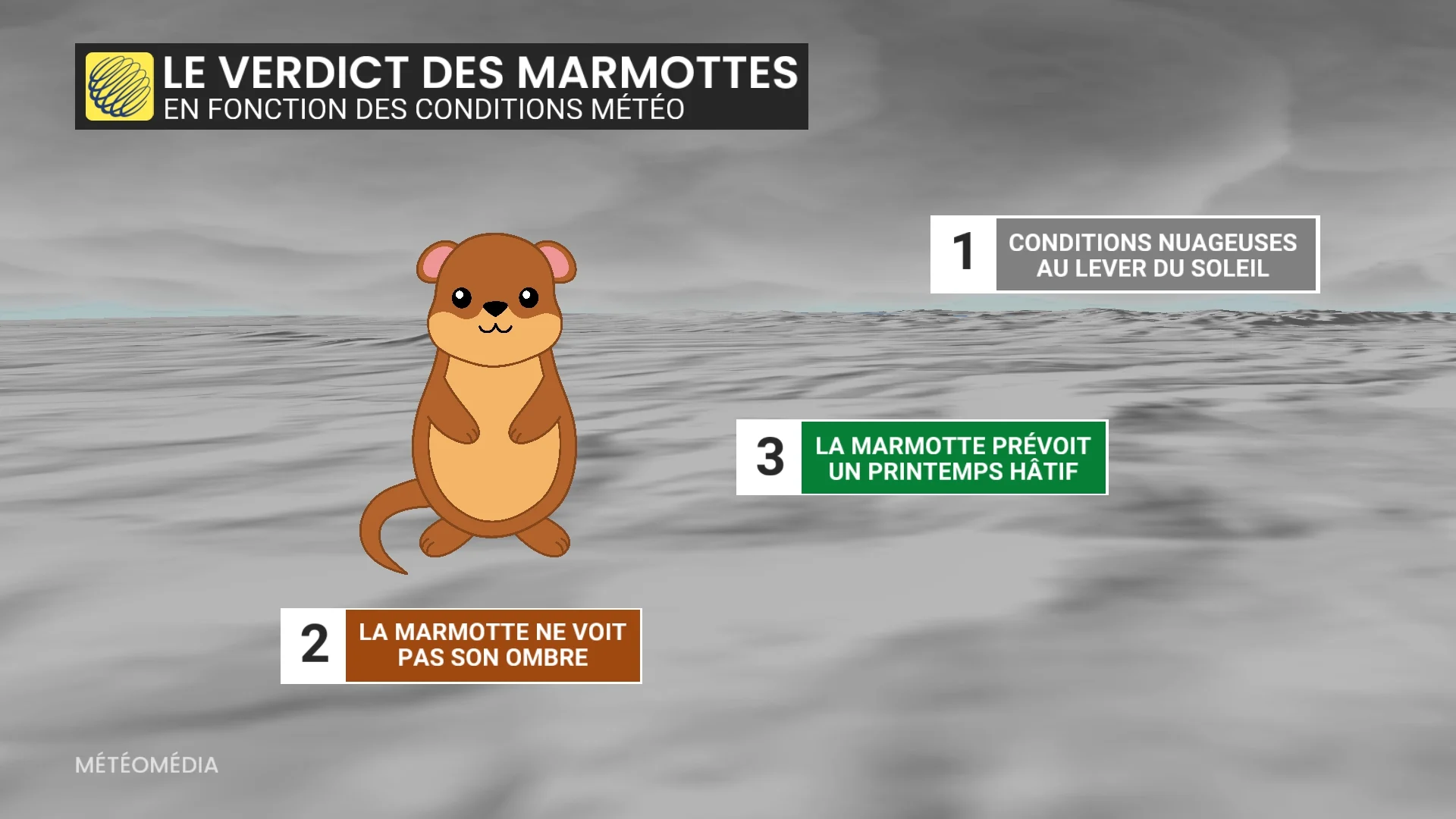 MARMOTTE4