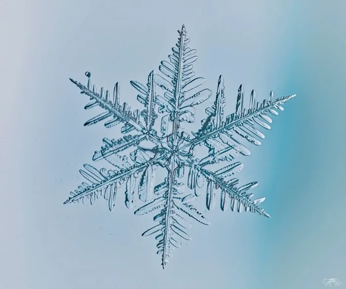 Here's why no two snowflakes are alike
