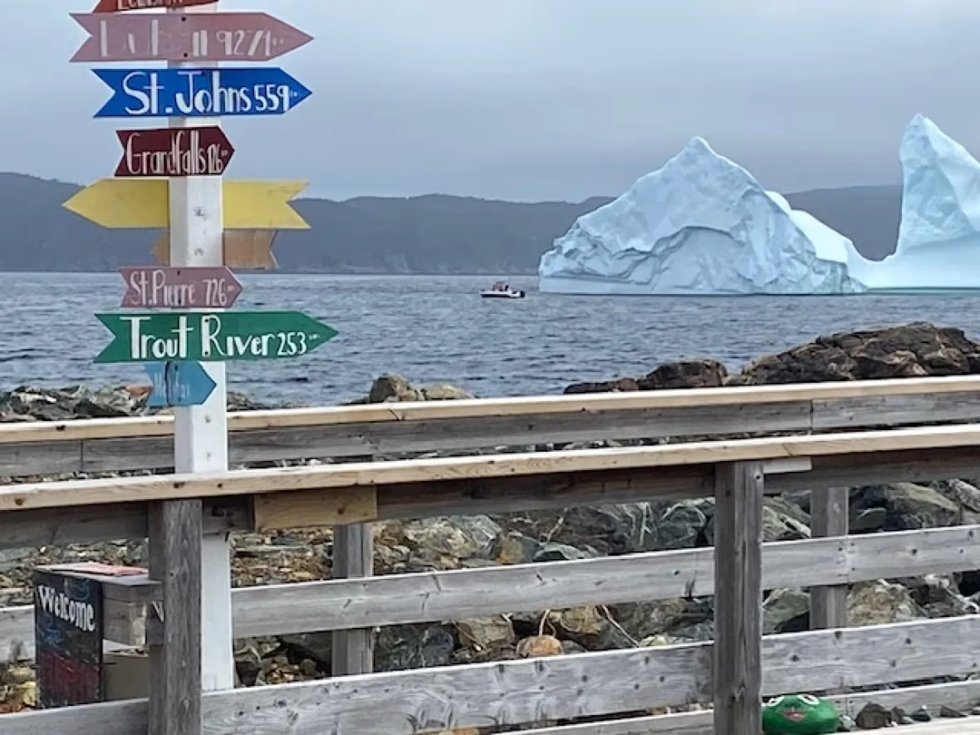 Northeast coast of Newfoundland is the place to see an iceberg & whales