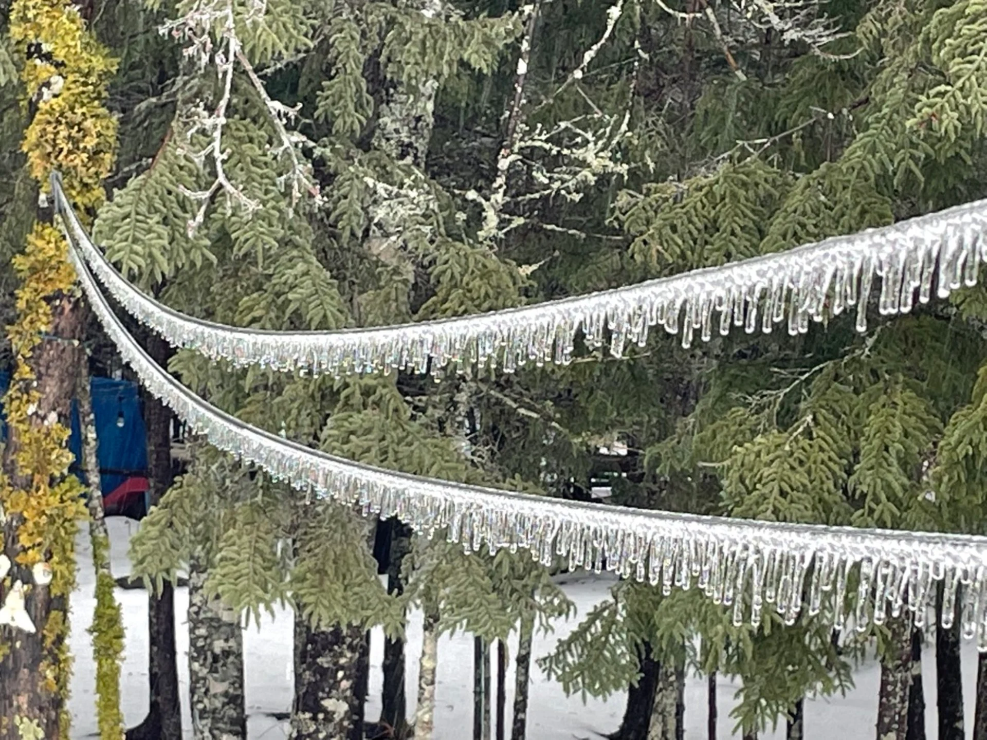 (UGC/Mike MacDonald) Freezing rain ice icicles Halifax, Nova Scotia