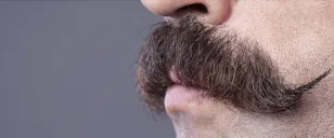 Having trouble growing out a Movember ‘stache? Weather could be to blame