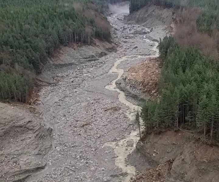 Landslide triggers massive debris cascade in remote part of B.C. coast