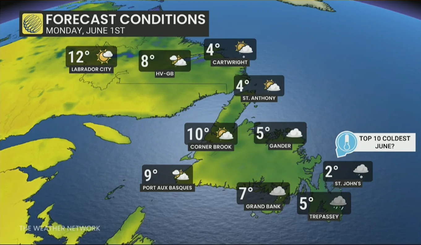 Newfoundland Forecast June 1 2026