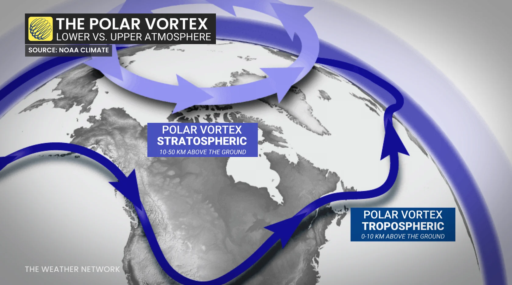 The polar vortex: Lower versus upper atmosphere