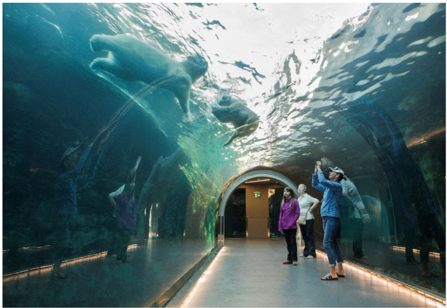 Photo Credit: Travel Manitoba 4