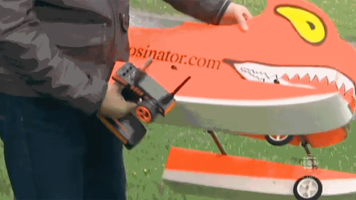 Moncton goosinator/CBC