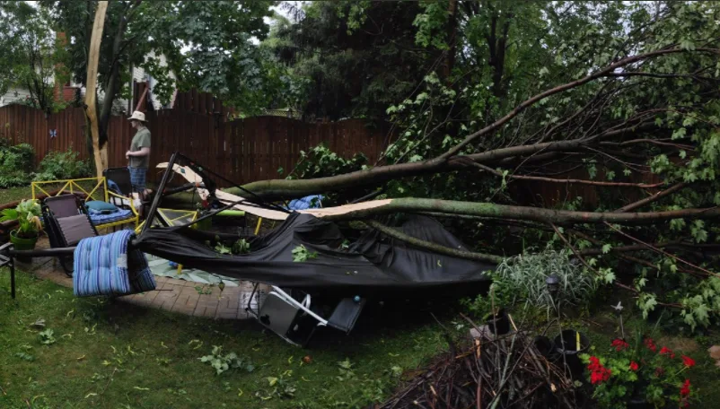 Wicked Tuesday thunderstorms down trees, take out power in southern Ontario
