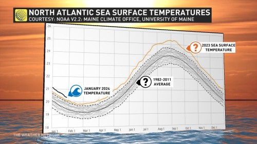 Global Ocean Record Snowballs Into 2024 Major Hurricane Impacts   Jan2024 