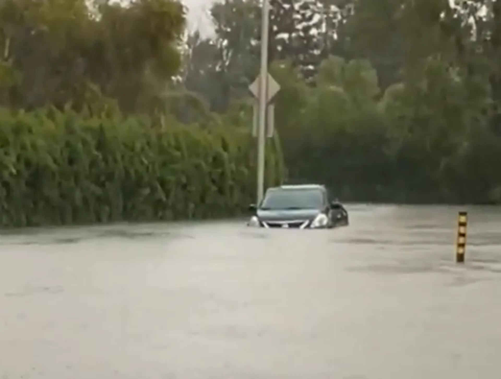 Homme emporté et mesures d'urgence : les vestiges de Debby ont semé le chaos