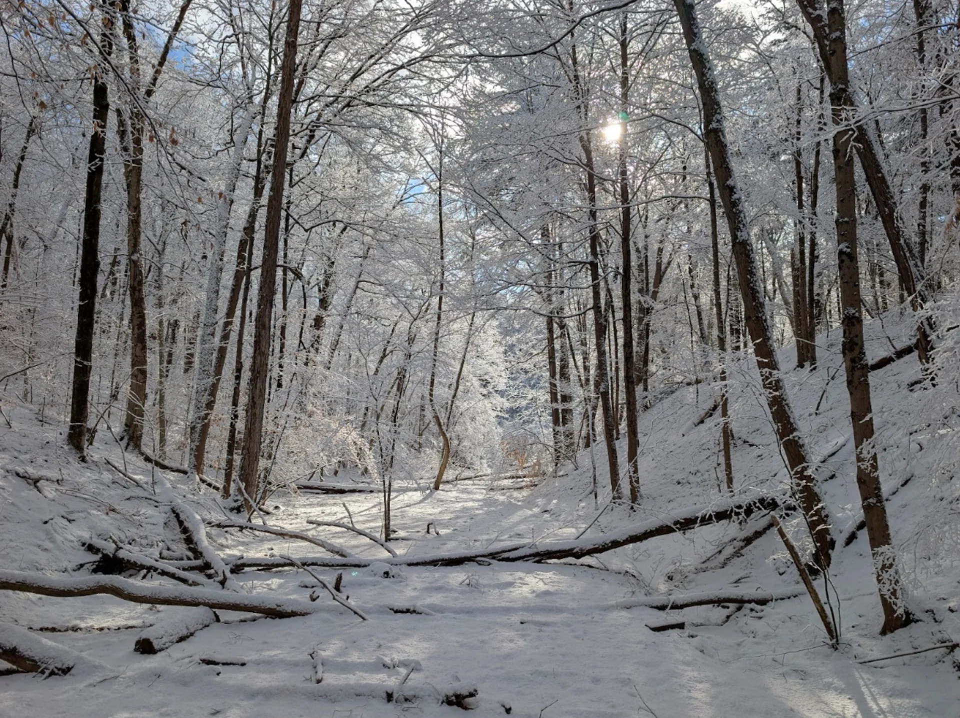 NO RE-USE: (Michael McDonald, CEO of the Bruce Trail Conservancy)  2