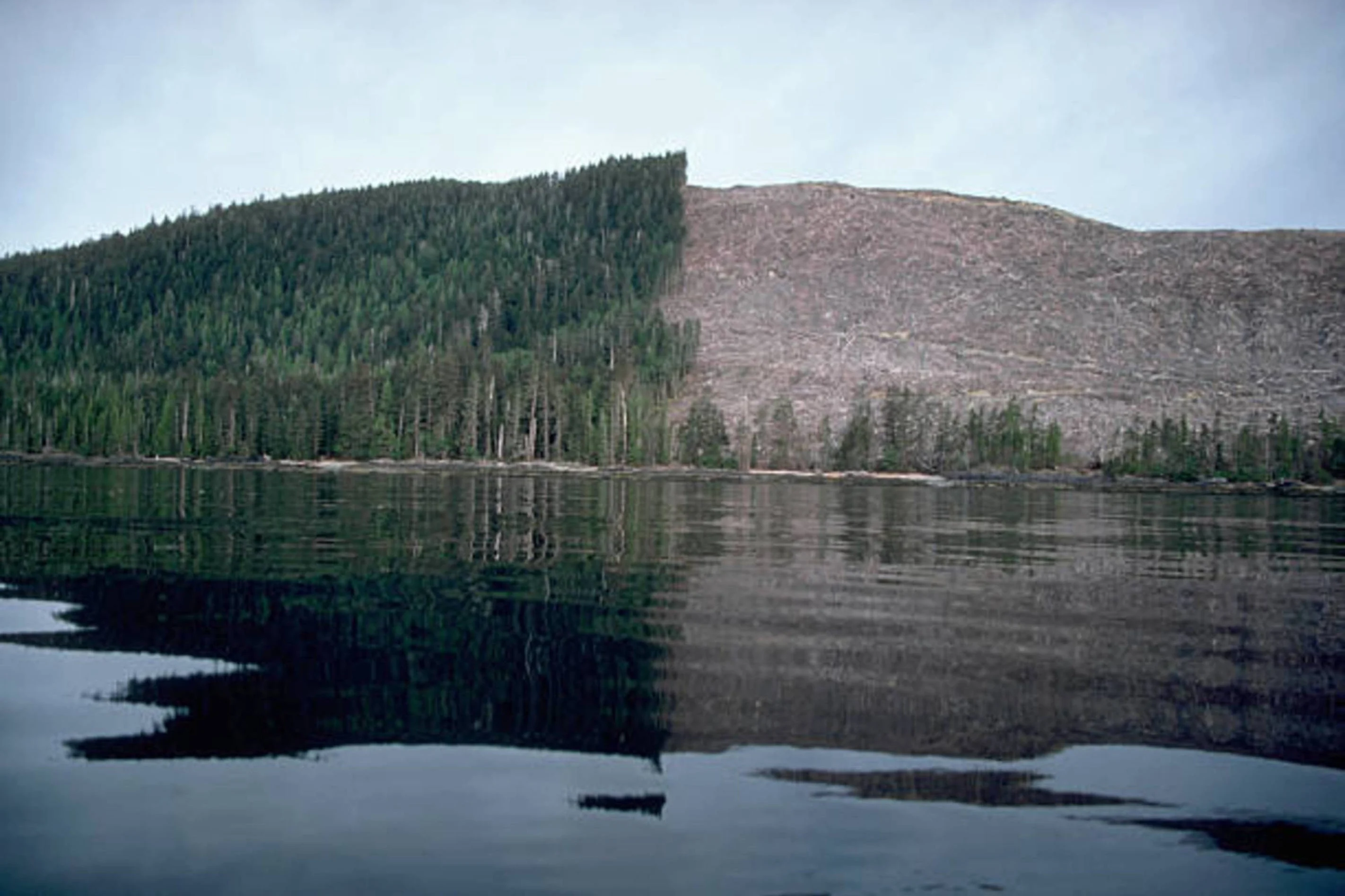 Déforestation au Canada