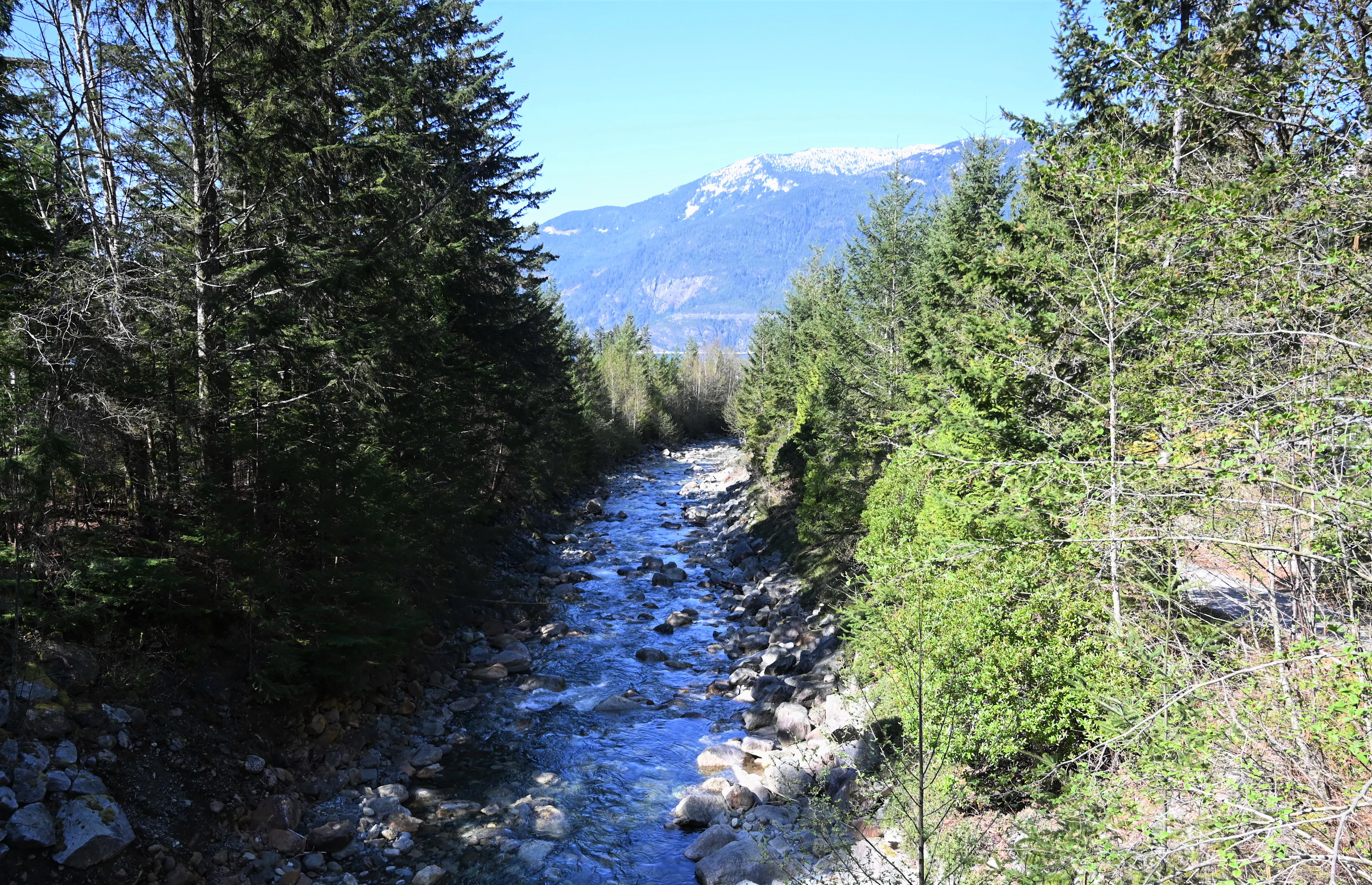 howe sound britannia creek Credit: Mia Gordon