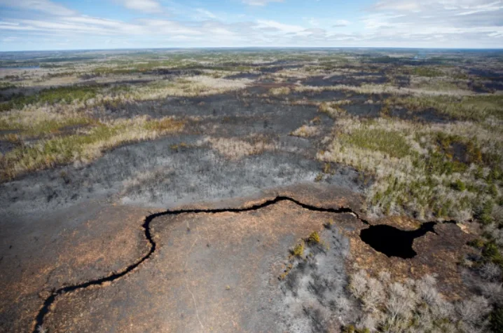 (Communications Nova Scotia) Horseshoe Lake NS Wildfire