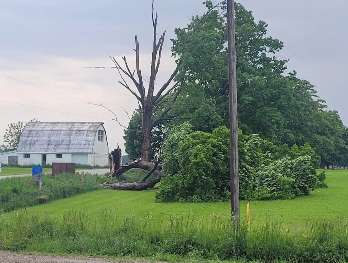 PHOTOS: EF-1 tornado confirmed with Monday's damaging storms in Ontario ...