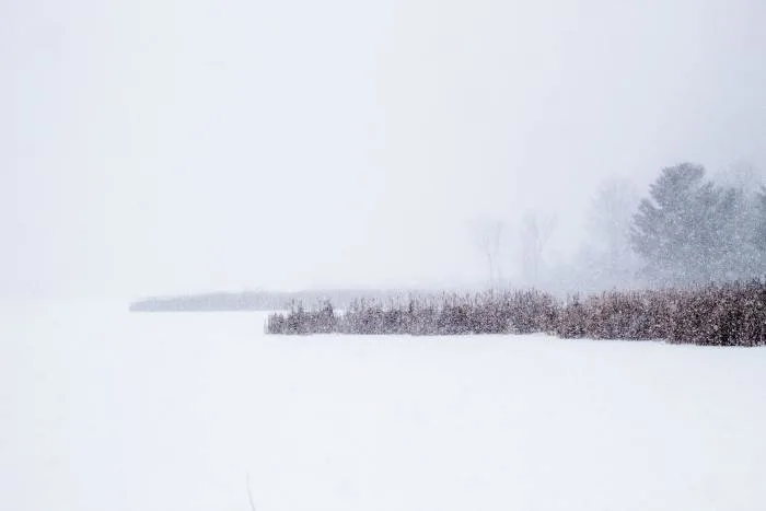 La tempête se dirige vers l'est